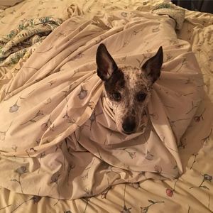 Meet your Posher, Jeff